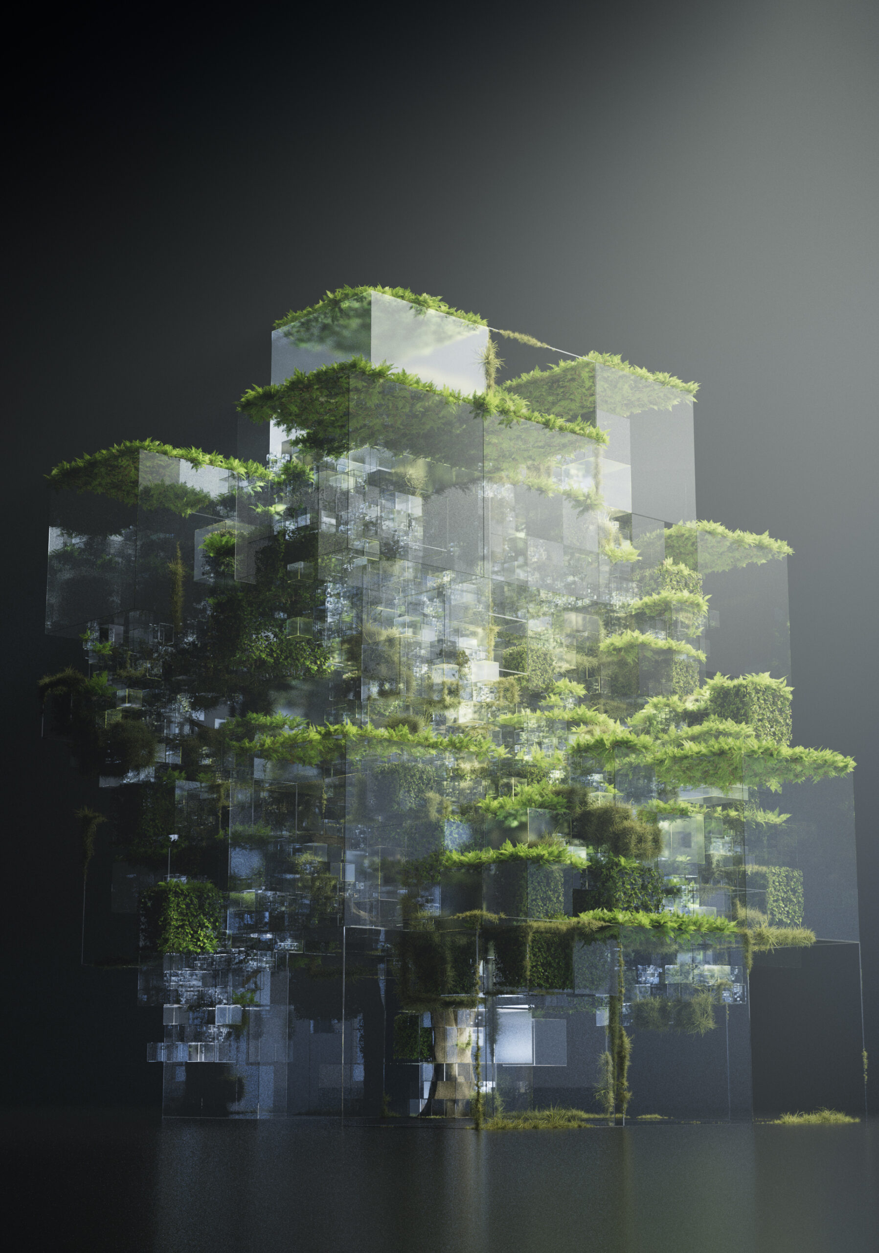 tree_02