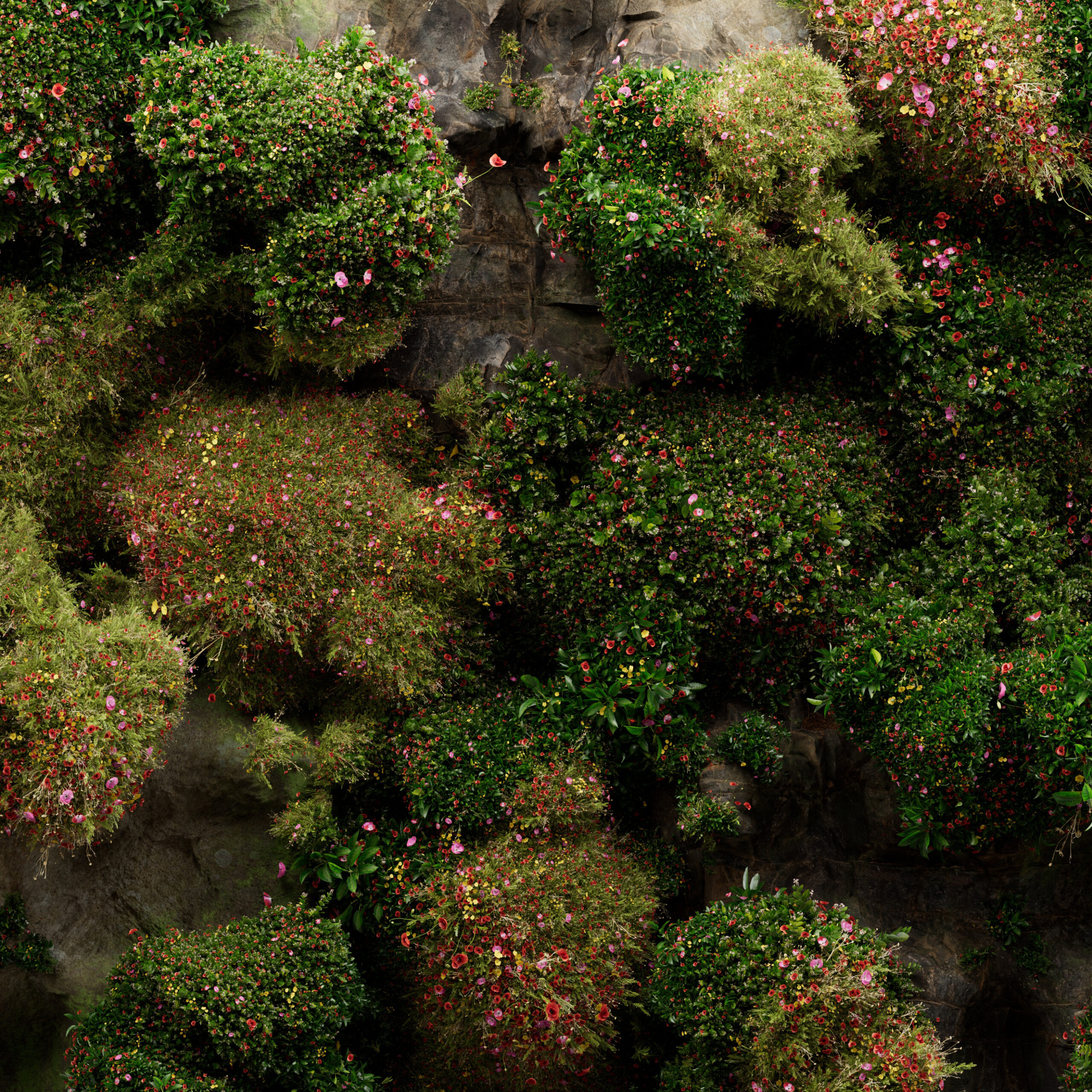 nature_high_01