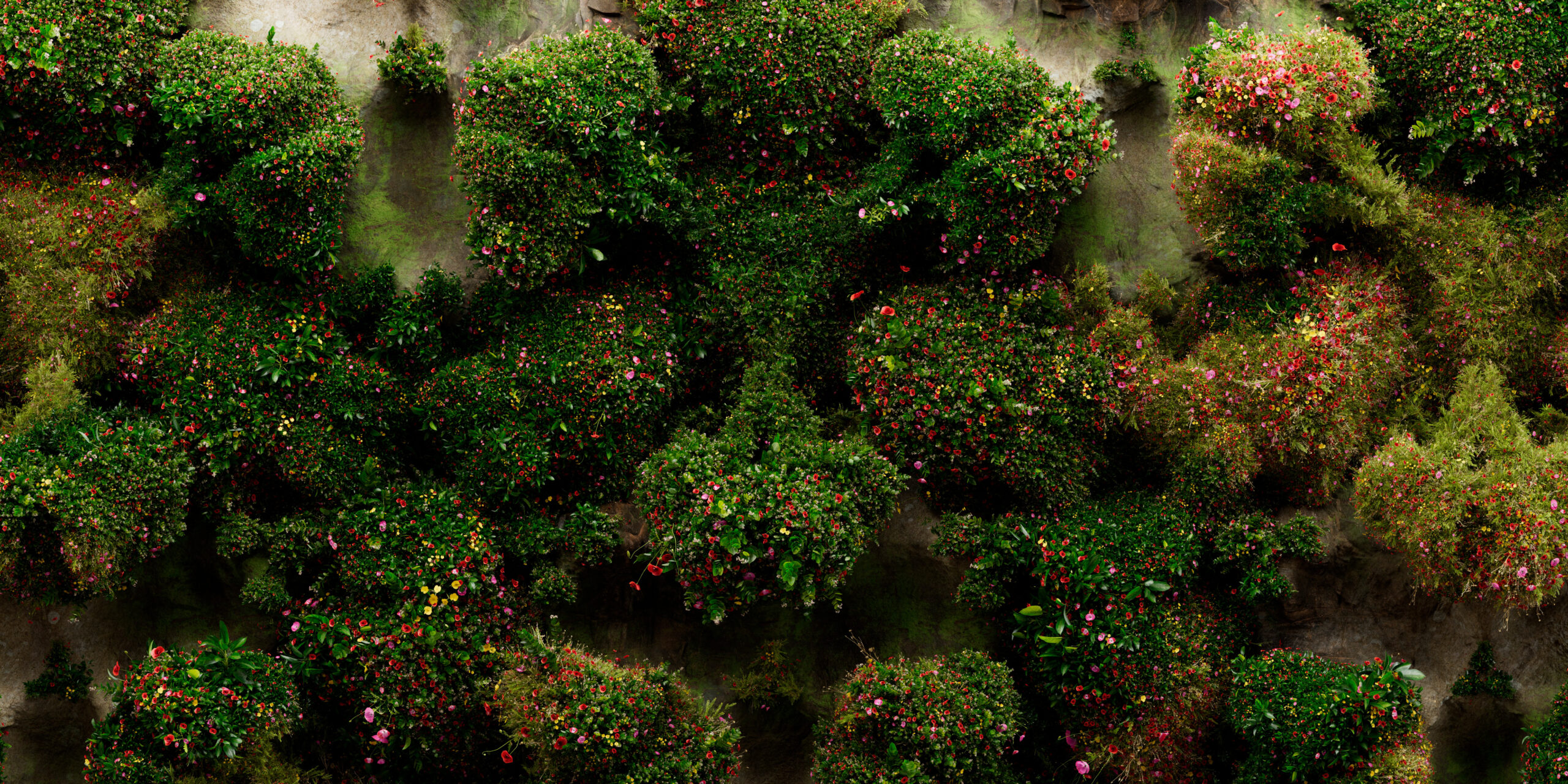 nature_high_01_crop