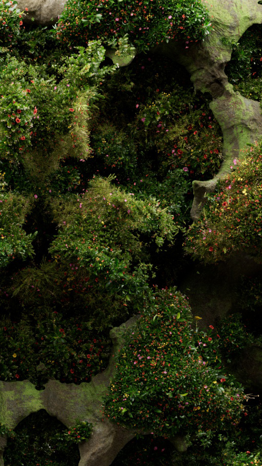 plant_a02