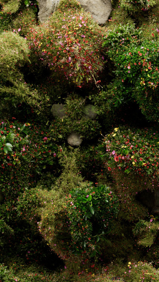 plant_a03